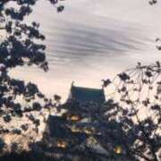 ヒメ日記 2026/04/23 19:00 投稿 こずえ 奥様の実話 梅田店