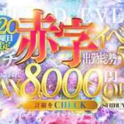 ヒメ日記 2026/06/17 19:02 投稿 白濱まこ 渋谷ガーデン