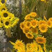 ヒメ日記 2025/08/24 18:49 投稿 れんか 変態貴族 五反田店