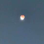 ヒメ日記 2025/09/08 20:19 投稿 れんか 変態貴族 五反田店