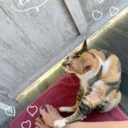 ヒメ日記 2025/11/24 16:09 投稿 れんか 変態貴族 五反田店