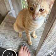 ヒメ日記 2025/12/12 18:19 投稿 れんか 変態貴族 五反田店