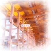 ヒメ日記 2025/11/05 23:54 投稿 有村真衣 五十路マダムエクスプレス神戸店(カサブランカグループ)