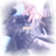 ヒメ日記 2025/11/14 16:30 投稿 有村真衣 五十路マダムエクスプレス神戸店(カサブランカグループ)