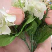 ヒメ日記 2025/09/12 18:48 投稿 あゆり 京都BOOK MARK（ブックマーク）