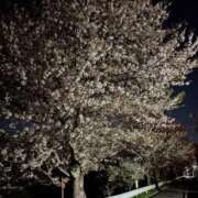 みも 待機ちゅう(｡ᵕᴗᵕ｡) ぽっちゃり巨乳専門木更津君津ちゃんこin千葉