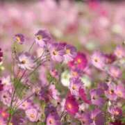 ヒメ日記 2025/09/05 10:29 投稿 安田 西川口デッドボール