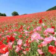 ヒメ日記 2025/09/20 10:23 投稿 安田 西川口デッドボール