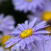 ヒメ日記 2025/09/20 17:58 投稿 安田 西川口デッドボール