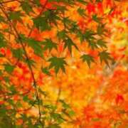 ヒメ日記 2025/09/30 11:50 投稿 安田 西川口デッドボール