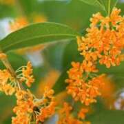 ヒメ日記 2025/10/07 14:28 投稿 安田 西川口デッドボール