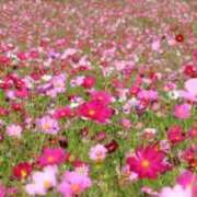 ヒメ日記 2025/10/13 13:48 投稿 安田 西川口デッドボール