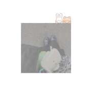 ヒメ日記 2025/10/19 10:28 投稿 安田 西川口デッドボール