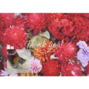 ヒメ日記 2025/10/31 11:18 投稿 安田 西川口デッドボール