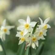 ヒメ日記 2025/11/08 18:58 投稿 安田 西川口デッドボール