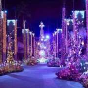 ヒメ日記 2025/12/12 15:28 投稿 安田 西川口デッドボール