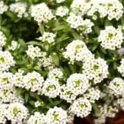 ヒメ日記 2025/12/21 14:27 投稿 安田 西川口デッドボール