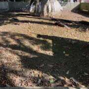 ヒメ日記 2025/11/23 08:40 投稿 みかづき 奥鉄オクテツ大阪