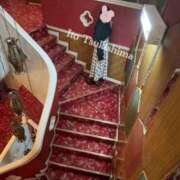 ヒメ日記 2026/02/08 09:45 投稿 月島 いと 大奥 難波店