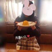 ヒメ日記 2026/03/31 19:05 投稿 月島 いと 大奥 難波店