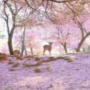 ヒメ日記 2025/08/29 21:26 投稿 ことり ぽっちゃり巨乳素人専門横浜関内伊勢佐木町ちゃんこ