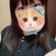 ことり 静かなひととき、新たな出逢いを想いながら✨ご予約お待ちしております⟡.· ぽっちゃり巨乳素人専門横浜関内伊勢佐木町ちゃんこ