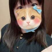 ことり 静かなひととき、新たな出逢いを想いながら✨ご予約お待ちしております⟡.· 新横浜ちゃんこ