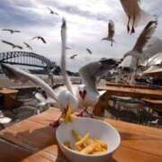 ヒメ日記 2025/08/27 16:39 投稿 るい 完熟ばなな八王子