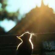 ヒメ日記 2025/08/31 18:29 投稿 るい 完熟ばなな八王子