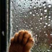 ヒメ日記 2025/09/05 09:43 投稿 るい 完熟ばなな八王子