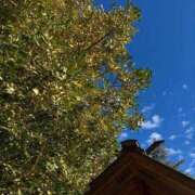 ヒメ日記 2025/09/06 11:49 投稿 るい 完熟ばなな八王子