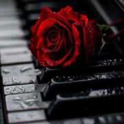 ヒメ日記 2025/09/08 15:29 投稿 るい 完熟ばなな八王子