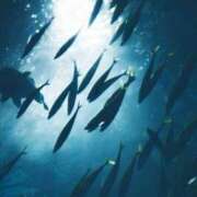 ヒメ日記 2025/09/08 21:29 投稿 るい 完熟ばなな八王子