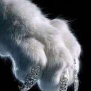 ヒメ日記 2025/09/12 19:19 投稿 るい 完熟ばなな八王子