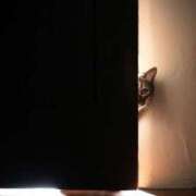 ヒメ日記 2025/09/15 15:09 投稿 るい 完熟ばなな八王子