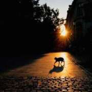 ヒメ日記 2025/09/15 16:19 投稿 るい 完熟ばなな八王子