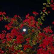 ヒメ日記 2025/09/17 21:29 投稿 るい 完熟ばなな八王子