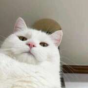 ヒメ日記 2025/09/18 14:59 投稿 るい 完熟ばなな八王子