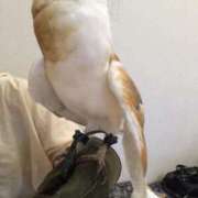 ヒメ日記 2025/09/27 08:59 投稿 るい 完熟ばなな八王子