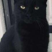 ヒメ日記 2025/09/27 20:29 投稿 るい 完熟ばなな八王子