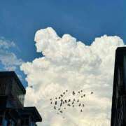 ヒメ日記 2025/09/28 17:09 投稿 るい 完熟ばなな八王子