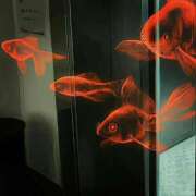 ヒメ日記 2025/09/28 22:09 投稿 るい 完熟ばなな八王子