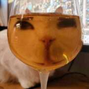 ヒメ日記 2025/09/30 15:59 投稿 るい 完熟ばなな八王子