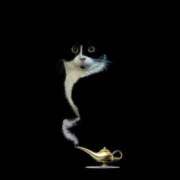 ヒメ日記 2025/10/01 20:19 投稿 るい 完熟ばなな八王子