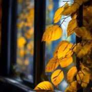 ヒメ日記 2025/10/13 16:39 投稿 るい 完熟ばなな八王子