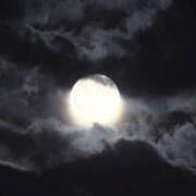 ヒメ日記 2025/10/16 22:29 投稿 るい 完熟ばなな八王子