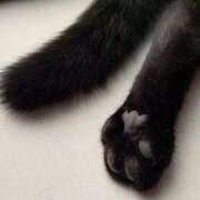 ヒメ日記 2025/10/17 20:19 投稿 るい 完熟ばなな八王子