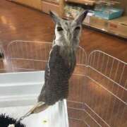 ヒメ日記 2025/10/28 16:39 投稿 るい 完熟ばなな八王子