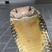 ヒメ日記 2025/10/30 14:44 投稿 るい 完熟ばなな八王子