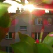 るい 都まんじゅう 完熟ばなな八王子